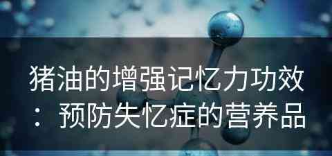猪油的增强记忆力功效：预防失忆症的营养品